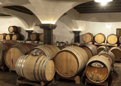 Umidificazione nelle cantine vinicole e Preservi la qualità dei tuoi vini