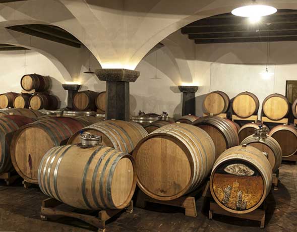 Deumidificazione per Vini di Qualità Deumidificazione per Vini di Qualità