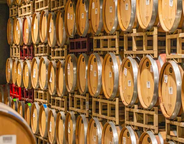 umidificazione-cantine umidificazione cantine